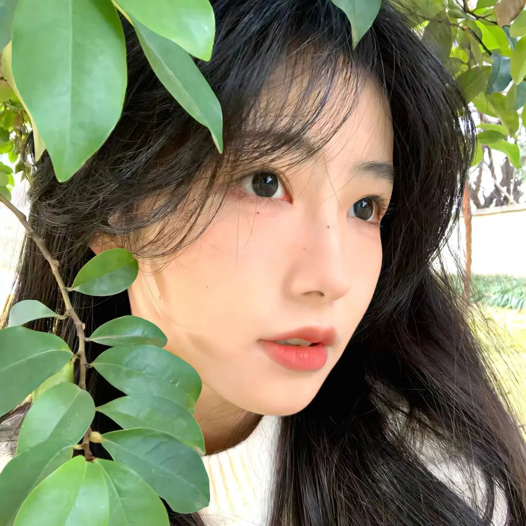 贵妇人